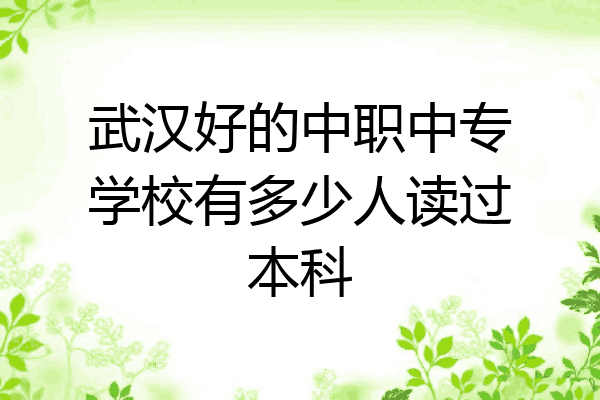 武汉好的中职中专学校有多少人读过本科