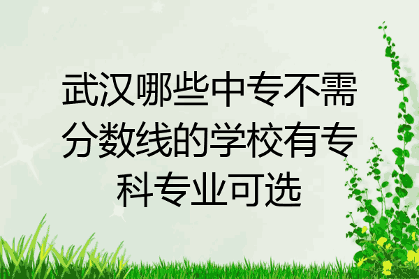 武汉哪些中专不需分数线的学校有专科专业可选