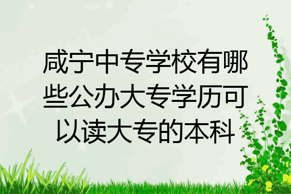 咸宁中专学校有哪些公办大专学历可以读大专的本科