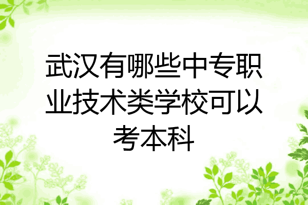 武汉有哪些中专职业技术类学校可以考本科