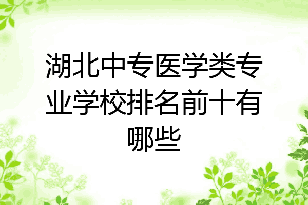 湖北中专医学类专业学校排名前十有哪些