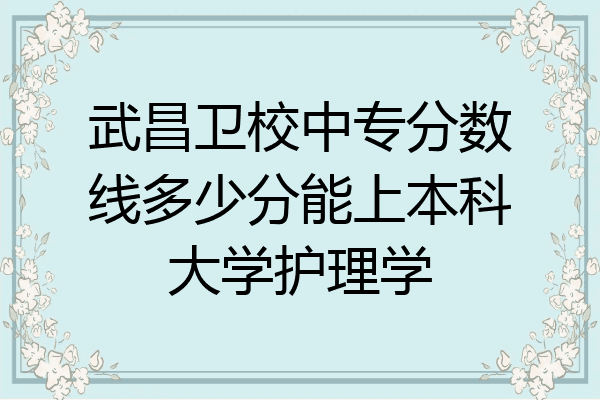 武昌卫校中专分数线多少分能上本科大学护理学
