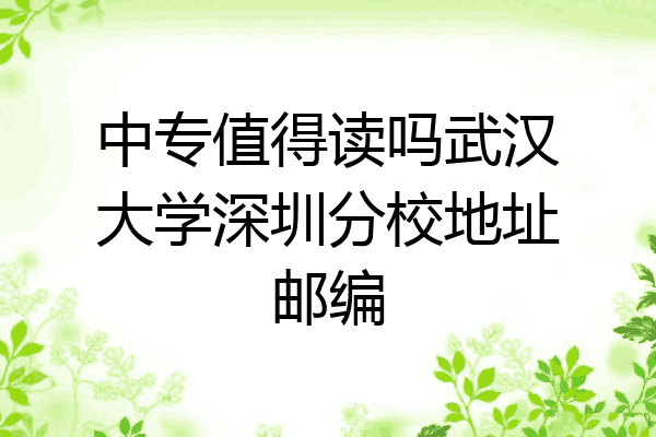 中专值得读吗武汉大学深圳分校地址邮编