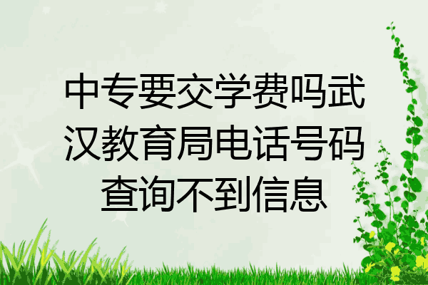 中专要交学费吗武汉教育局电话号码查询不到信息