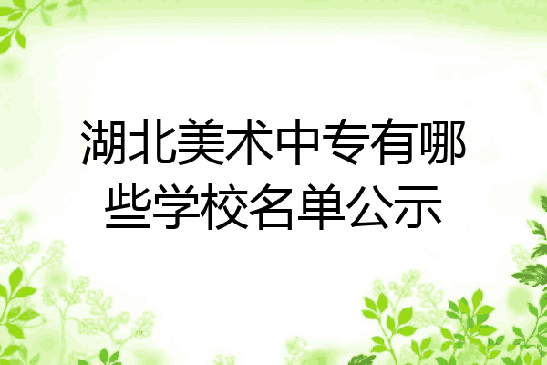 湖北美术中专有哪些学校名单公示