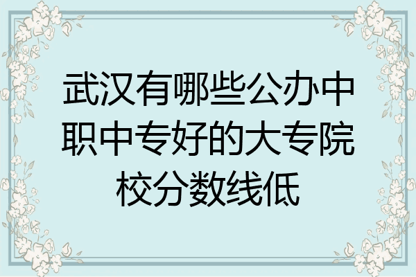 武汉有哪些公办中职中专好的大专院校分数线低