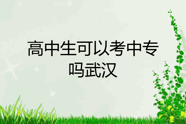 高中生可以考中专吗武汉