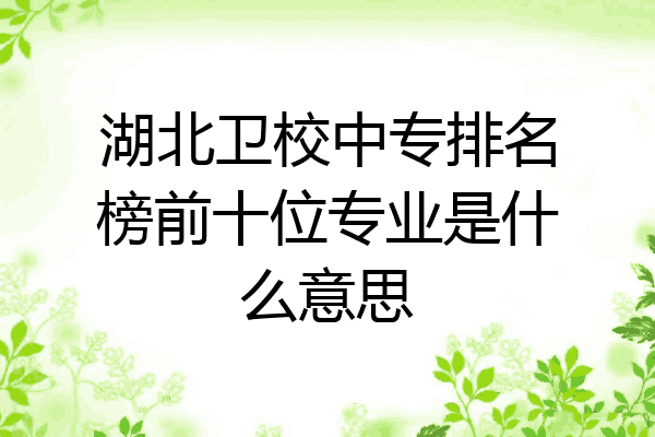 湖北卫校中专排名榜前十位专业是什么意思