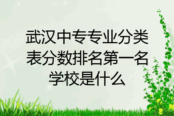 武汉中专专业分类表分数排名第一名学校是什么