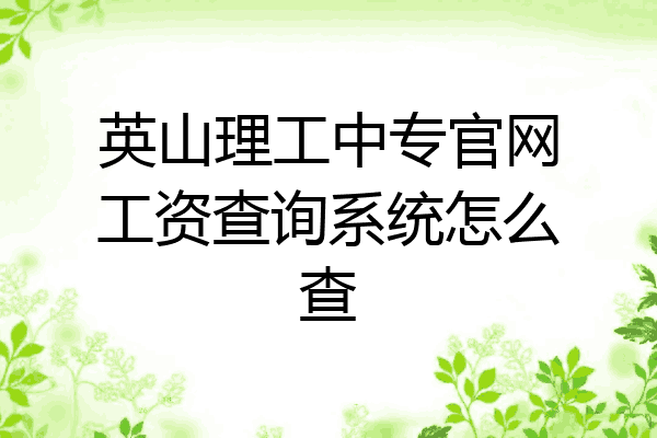 英山理工中专官网工资查询系统怎么查