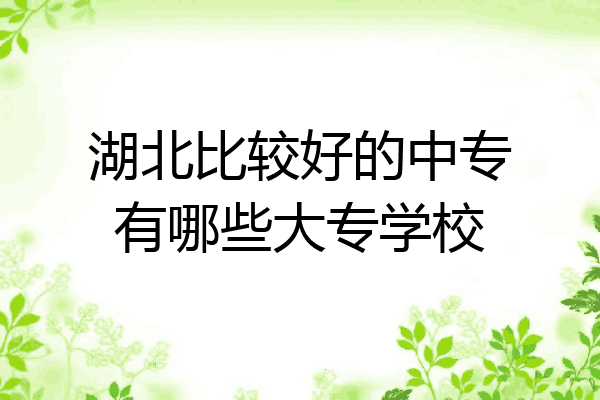 湖北比较好的中专有哪些大专学校