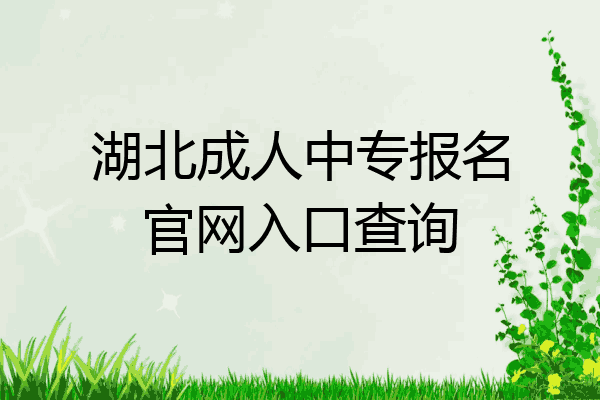 湖北成人中专报名官网入口查询