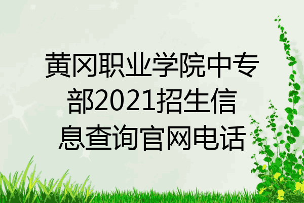 黄冈职业学院中专部2021招生信息查询官网电话