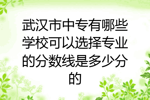 武汉市中专有哪些学校可以选择专业的分数线是多少分的