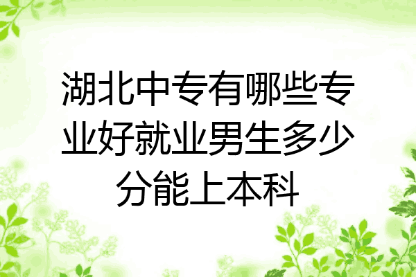湖北中专有哪些专业好就业男生多少分能上本科