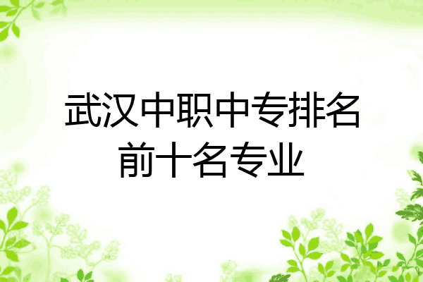 武汉中职中专排名前十名专业