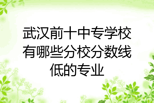 武汉前十中专学校有哪些分校分数线低的专业