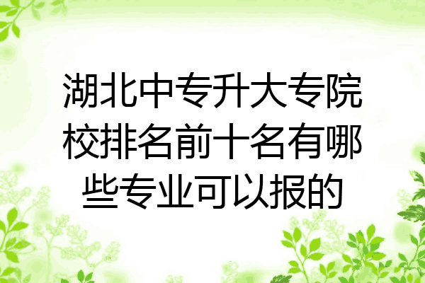 湖北中专升大专院校排名前十名有哪些专业可以报的