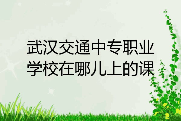 武汉交通中专职业学校在哪儿上的课
