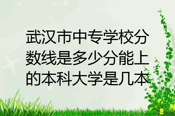 武汉市中专学校分数线是多少分能上的本科大学是几本