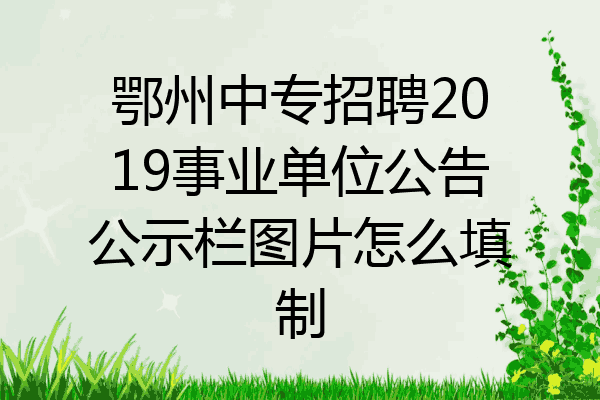鄂州中专招聘2019事业单位公告公示栏图片怎么填制