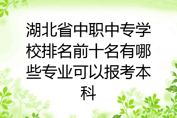 湖北省中职中专学校排名前十名有哪些专业可以报考本科
