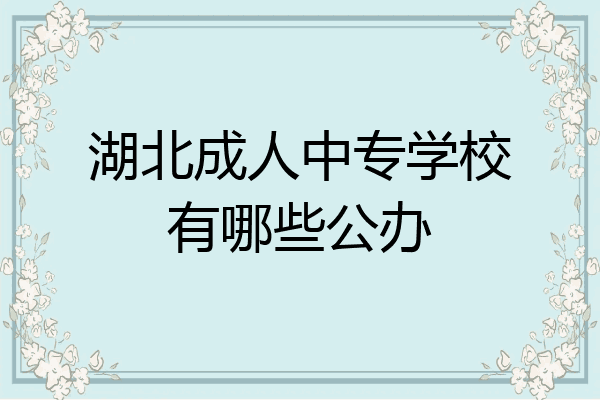 湖北成人中专学校有哪些公办
