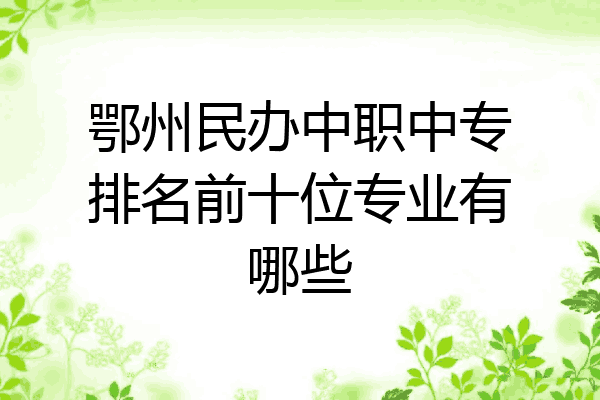 鄂州民办中职中专排名前十位专业有哪些