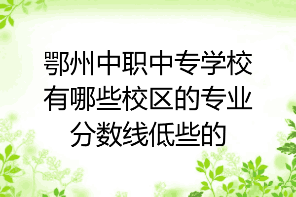 鄂州中职中专学校有哪些校区的专业分数线低些的