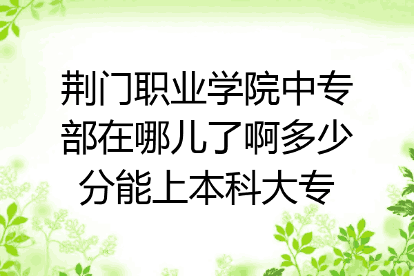 荆门职业学院中专部在哪儿了啊多少分能上本科大专