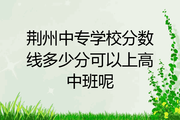 荆州中专学校分数线多少分可以上高中班呢