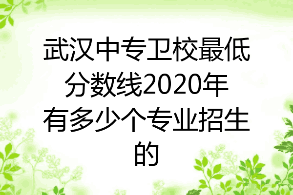 武汉中专卫校最低分数线2020年有多少个专业招生的