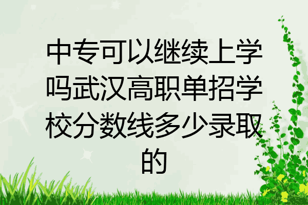 中专可以继续上学吗武汉高职单招学校分数线多少录取的