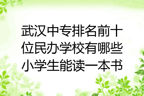 武汉中专排名前十位民办学校有哪些小学生能读一本书