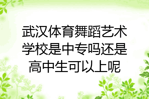武汉体育舞蹈艺术学校是中专吗还是高中生可以上呢