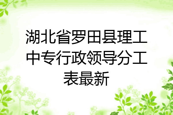 湖北省罗田县理工中专行政领导分工表最新