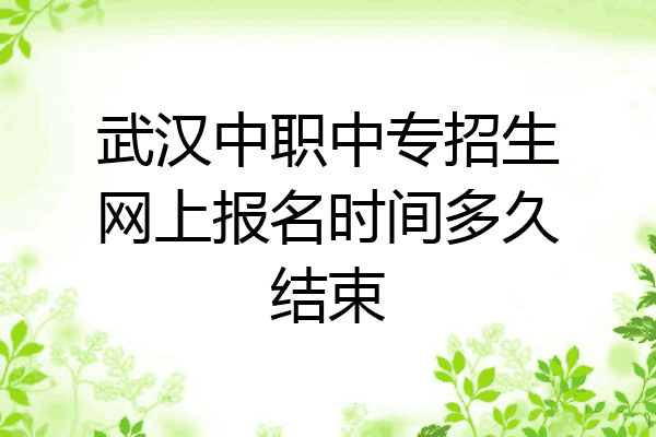 武汉中职中专招生网上报名时间多久结束