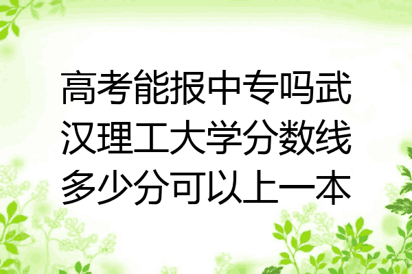 高考能报中专吗武汉理工大学分数线多少分可以上一本
