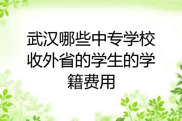 武汉哪些中专学校收外省的学生的学籍费用