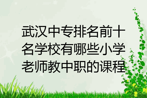 武汉中专排名前十名学校有哪些小学老师教中职的课程
