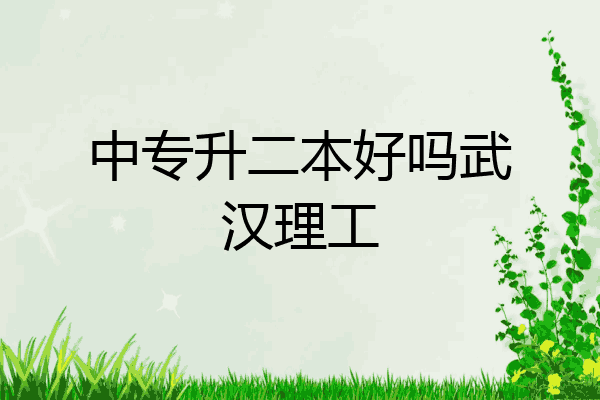 中专升二本好吗武汉理工