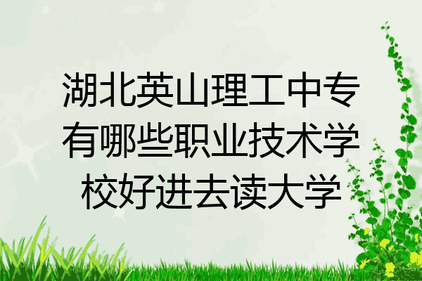 湖北英山理工中专有哪些职业技术学校好进去读大学