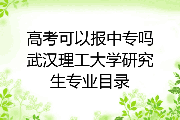 高考可以报中专吗武汉理工大学研究生专业目录