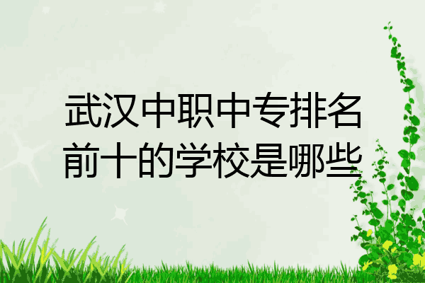 武汉中职中专排名前十的学校是哪些