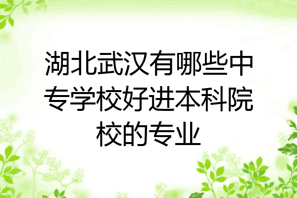 湖北武汉有哪些中专学校好进本科院校的专业