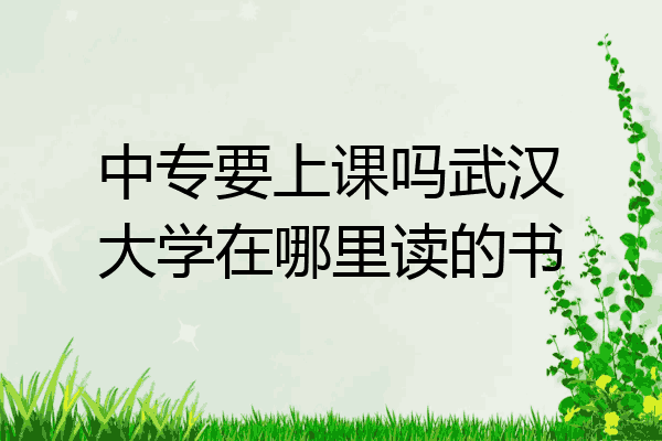 中专要上课吗武汉大学在哪里读的书