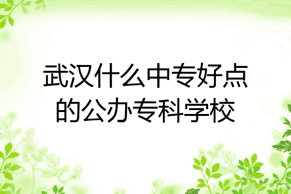 武汉什么中专好点的公办专科学校