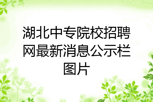 湖北中专院校招聘网最新消息公示栏图片