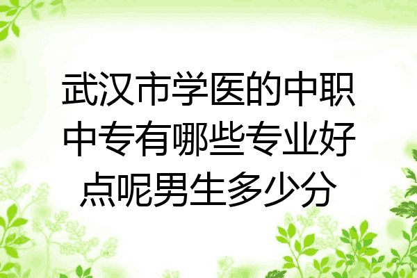 武汉市学医的中职中专有哪些专业好点呢男生多少分
