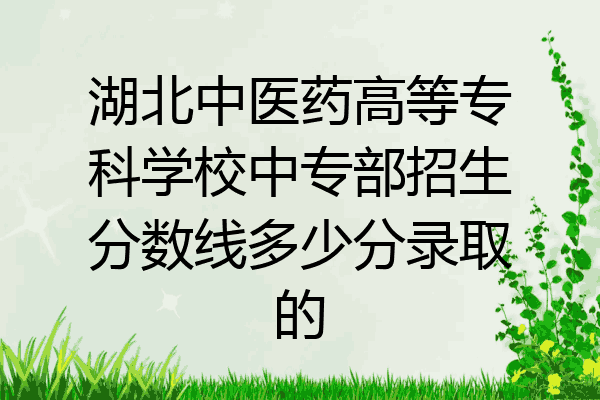 湖北中医药高等专科学校中专部招生分数线多少分录取的